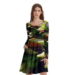 Bright Peppers Long Sleeve Knee Length Skater Dress With Pockets by Ket1n9