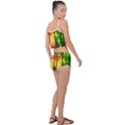 Abstract-vibrant-colour-botany Summer Cropped Co-Ord Set View2