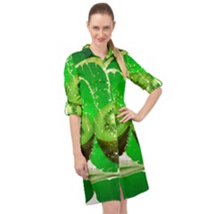 Kiwi Fruit Vitamins Healthy Cut Long Sleeve Mini Shirt Dress by Amaryn4rt