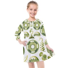 Algae Green Algae Chlorophyceae Kids  Quarter Sleeve Shirt Dress by Pakjumat