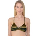 Mountains Village Trees Hills Reversible Tri Bikini Top View1