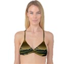 Mountains Village Trees Hills Reversible Tri Bikini Top View3