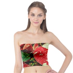 Poinsettia Christmas Star Plant Tube Top by Sarkoni