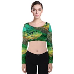 Peacock Bass Fishing Velvet Long Sleeve Crop Top by Sarkoni