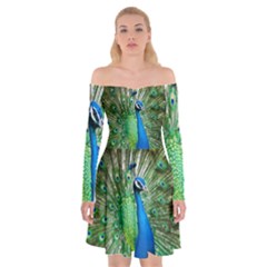 Peafowl Peacock Off Shoulder Skater Dress by Sarkoni