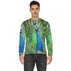 Peafowl Peacock Men s Fleece Sweatshirt by Sarkoni