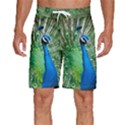 Peafowl Peacock Men s Beach Shorts View1