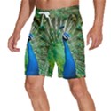 Peafowl Peacock Men s Beach Shorts View2