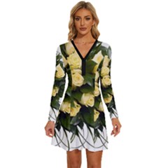 Bouquet Flowers Roses Decoration Long Sleeve Deep V Mini Dress  by Amaryn4rt