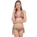 Cactus Pattern Background Texture Tie It Up Bikini Set View1