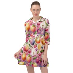 Fruits Apple Strawberry Raspberry Mini Skater Shirt Dress by Ravend