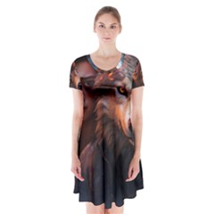 Be Fearless Short Sleeve V-neck Flare Dress by Saikumar