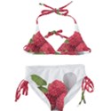 Fruit Healthy Vitamin Vegan Kids  Classic Bikini Set View1