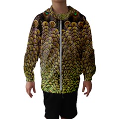 Peacock Feathers Wheel Plumage Kids  Hooded Windbreaker by Ket1n9