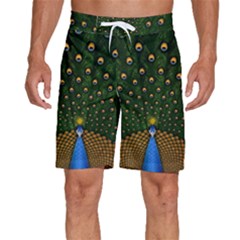 Peacock Feathers Tail Green Beautiful Bird Men s Beach Shorts by Ndabl3x