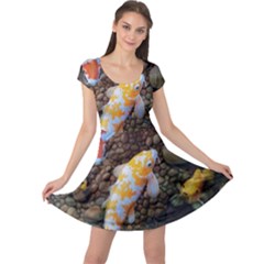 Koi Fish Clown Pool Stone Cap Sleeve Dress by Cemarart