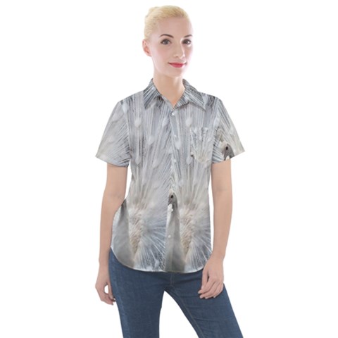 White Feathers, Animal, Bird, Feather, Peacock Women s Short Sleeve Pocket Shirt by nateshop