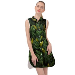 Banana Leaves Sleeveless Shirt Dress by goljakoff