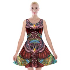 Colorful Owl Art Red Owl Velvet Skater Dress by Bedest