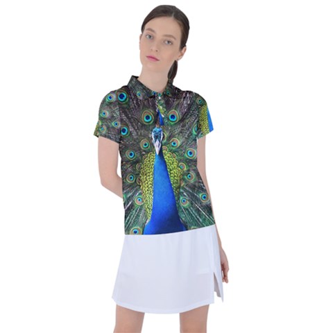 Peacock Bird Feathers Pheasant Nature Animal Texture Pattern Women s Polo T-shirt by Bedest