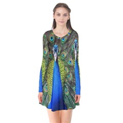 Peacock Bird Feathers Pheasant Nature Animal Texture Pattern Long Sleeve V-neck Flare Dress by Bedest