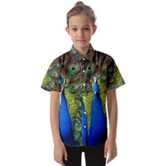 Peacock Bird Feathers Pheasant Nature Animal Texture Pattern Kids  Short Sleeve Shirt by Bedest