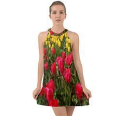 Yellow Pink Red Flowers Halter Tie Back Chiffon Dress by Azkajaya