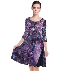 Purple Peacock Quarter Sleeve Waist Band Dress by Bedest