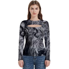 Angry Male Lion Wild Animal Women s Cut Out Long Sleeve T-shirt by Loisa77