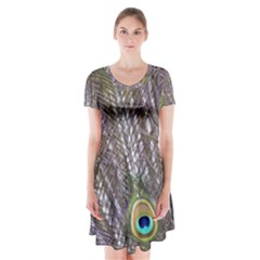 Peacock Bird Feathers Plumage Peacock Short Sleeve V-neck Flare Dress by Perong