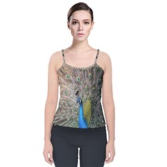 Peacock Bird Animal Peafowl Velvet Spaghetti Strap Top by Perong