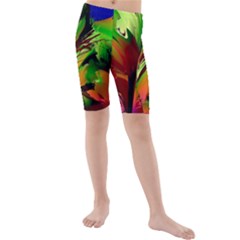 Splash Kids  Mid Length Swim Shorts by geonetique