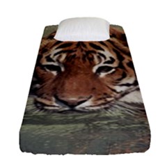 Swimming Tiger Fitted Sheet (single Size) by ExtraAwesomeSauce