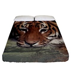 Swimming Tiger Fitted Sheet (queen Size) by ExtraAwesomeSauce