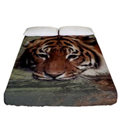 Swimming Tiger Fitted Sheet (california King Size) by ExtraAwesomeSauce