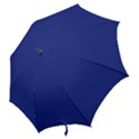 An Airplane Flying In The Sky With A Blue Background Hook Handle Umbrellas (Large) View2