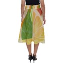 Citrus Fruit Healthy Vitamin Perfect Length Midi Skirt View2