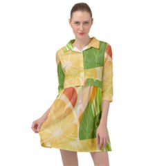 Citrus Fruit Healthy Vitamin Mini Skater Shirt Dress by Paksenen