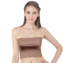 Mocha Mousse Hex Code #a47864 Tube Top View1