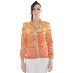 Abstract Texture Of Colorful Bright Pattern Of Transparent Leaves Of Orange And Yellow Color Women s Windbreaker by Posterlux