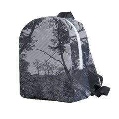 Patagonia Forest, Nahuel Huapi National Park, Rio Negro, Argentina Kids  Age 2-4 Lightweight Preschool Backpack by dflcprintsclothing