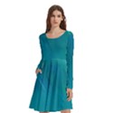 Dsc 0372 Kopie 3 Long Sleeve Knee Length Skater Dress With Pockets View1