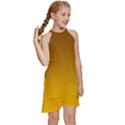 Chocolate Brown To Amber Orange Linear Gradient Kids  Halter Collar Waist Tie Chiffon Dress View3