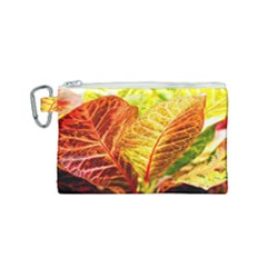 Leaves Plant Pattern Croton Nature Canvas Cosmetic Bag (small) by Sabxi