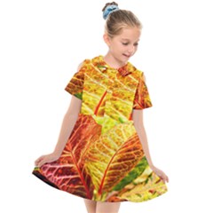 Leaves Plant Pattern Croton Nature Kids  Short Sleeve Shirt Dress by Sabxi