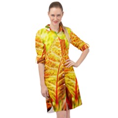 Leaves Plant Pattern Croton Nature Long Sleeve Mini Shirt Dress by Sabxi