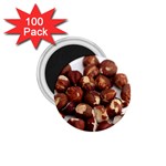 Hazelnuts 1.75  Button Magnet (100 pack) Front