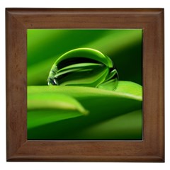 Waterdrop Framed Ceramic Tile by Siebenhuehner