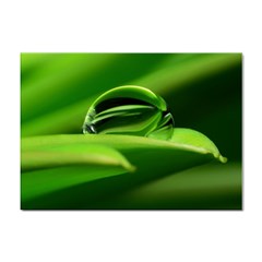 Waterdrop A4 Sticker 100 Pack by Siebenhuehner