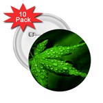 Leaf With Drops 2.25  Button (10 pack) Front